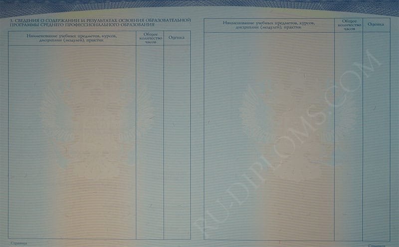 Диплом техникума или колледжа 2014-2026 НОВОГО ОБРАЗЦА 
