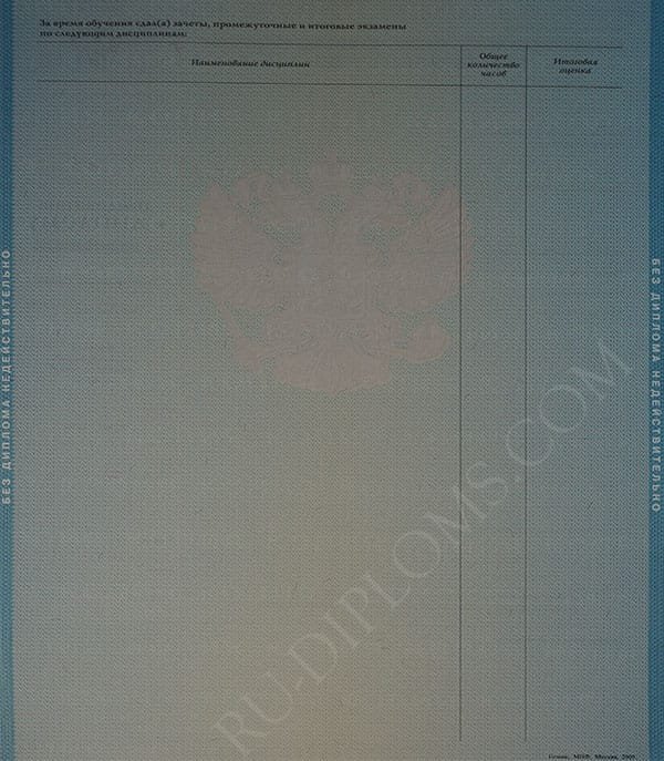 Диплом магистра 2004-2009 год 