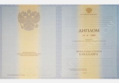 Диплом бакалавра 2010-2013 год  